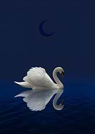 2025-12-24/0e3de8db-7122-4264-a27a-45219d818073