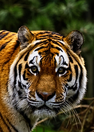 2025-12-25/87c1fd6e-8f37-4fbd-8f14-582c2a03bf3c