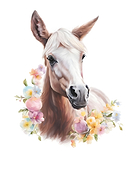 2025-12-27/c8741fc3-d813-453b-a1c8-e270622d0d24