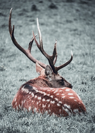 2025-12-28/785ef94d-3a91-440c-8f1f-d98bbe713d4e