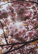 2025-12-28/edb028d4-4427-46a8-89fc-14f5db39fe27