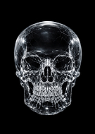 2025-12-29/140851a3-534f-4980-9ba1-78e24d1fd031