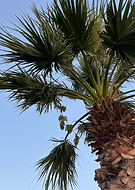 2025-12-30/4bc78753-14d4-43df-8607-206581784fa2