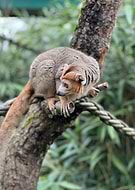 2026-01-01/8c2e011c-ad56-4aef-96dd-b78b915f7068