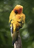 2026-01-01/f9d40218-eb3b-4bdb-ac20-2798b9d00f1d