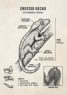 2026-01-04/3da3c5d1-1c56-448e-91a3-403175375429