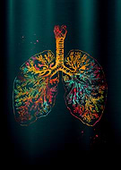 2026-01-05/d7eb3e2a-a520-4522-a951-8b8be697a8b5