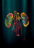 2026-01-05/fc0f7080-298a-46df-bd1b-51fd0e452200