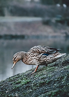 2026-01-07/27f3fec6-58ea-4e6c-8fc7-a28826cfc3a0