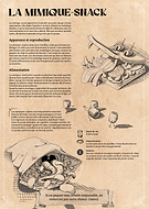 2026-01-07/73e946f5-caba-48e3-bd81-21cc94477e99