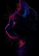 2026-01-07/74086799-91e6-404a-a498-28815bfd1aec