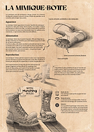 2026-01-07/b6c42aea-4fc4-43c3-acb4-40a5969c1b1a