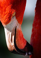 2026-01-08/e492fac0-62c3-4475-a1e0-1a5d106a1d71