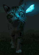 2026-01-09/91988a19-9348-4df9-8b76-1e6947588ff2