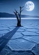 2026-01-11/543594cb-cfea-4999-9b59-ef129bc6a8cc