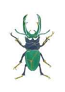 2026-01-11/ba283864-a6f3-4b5b-83bd-918a3c991de6