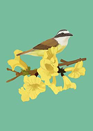 2026-01-12/047223a2-1cc9-4486-90bc-a9e41b93103a