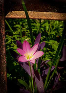 2026-01-12/60b93a90-2ba8-4462-bf86-65f7b8967964