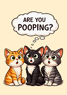 2026-01-13/506f1b24-c431-403a-ad40-c8adaf6e171a