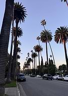 2026-01-13/c99278b9-8687-4257-b592-d03cea817989