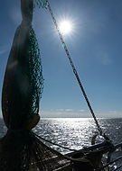 2026-01-14/bfa53429-ebe3-4df5-94f6-acb2d9d6b912