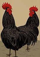 2026-01-15/a1a24d4d-69a1-4728-8826-529db0cf1983