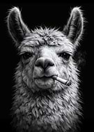 2026-01-17/193aebca-ec94-4d18-af43-65d50e1b34f1