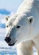 2026-01-18/7c7c2422-b7c7-463b-bb3e-1271dd1e5706