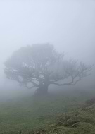 2026-01-18/b4e0db3b-cba9-40da-9876-fa1087a427ca