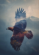 2026-01-19/55dc08ad-6687-4510-ab03-5710913cb418