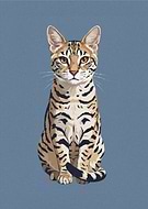 2026-01-19/5ae6a520-b06e-47a7-acbb-e7cb6aab0717