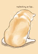 2026-01-19/ab2b7cc4-5f42-442a-9f2a-2aaa76933be6