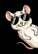 2026-01-20/66f7ae6d-3fa2-4207-a306-b50a2b9c81fd