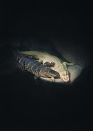 2026-01-21/44beb2ab-1b52-4c71-af4d-6db20a501d9e