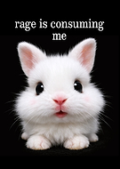 2026-01-21/7dea2677-2c09-42fd-a602-d06e2aa4c5b3