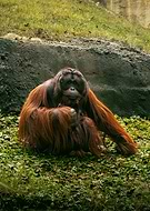 2026-01-21/ae041897-31e4-405a-9829-be7892d8c274