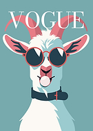 2026-01-21/b81e358b-87b9-457e-a982-856633f57aec