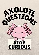 2026-01-21/d9885183-40f5-4c5c-9aec-74a3434eb51a