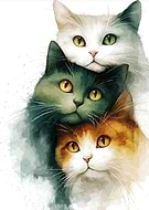 2026-01-21/de8b5853-b0ad-488b-8437-734bf95758b4