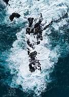 2026-01-22/0b6ffc67-b7c2-4fe1-b7cc-c39ed6287f83