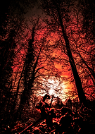 2026-01-23/581e3e64-737a-4980-bc55-74de4d35ae60