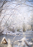 2026-01-23/70b7f1df-44d2-44dd-aef8-5c6a7bfd0d42