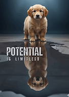 2026-01-23/97fe5b83-c9a5-4891-8b16-ca6dd4ce2bf2