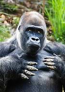 2026-01-24/74d082ce-82a7-48c4-a856-f9dff21ff1ce