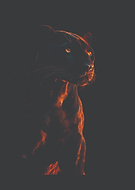 2026-01-25/79f011f8-24bd-4f73-8e3d-feb45606f63e