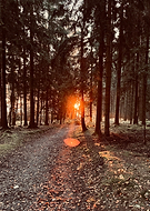 2026-01-25/f8a5e7e3-02a8-44a4-9ac5-e377b91a6ced