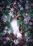 2026-01-26/45294f7a-3a77-44ef-b521-d7f73c764273