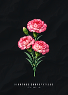 2026-01-27/418de93b-ae8f-4876-9c2b-2a3963aac687