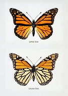 2026-01-27/6dd1c2e5-c79a-4a6c-89e1-cfe0b3e1290c