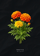 2026-01-27/9d00357b-79b4-479f-ab21-523944e464c3